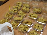 photo 037